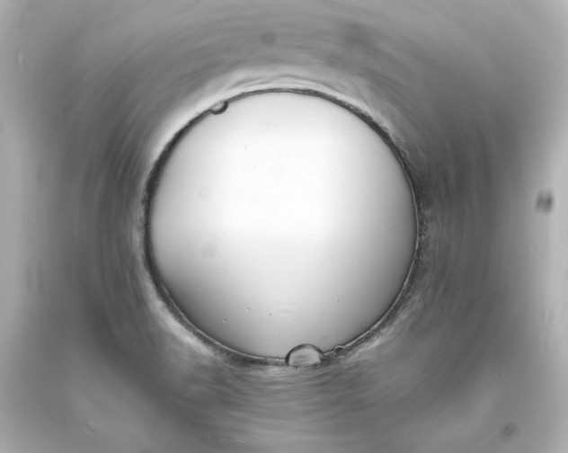 X0000094061518200711021433