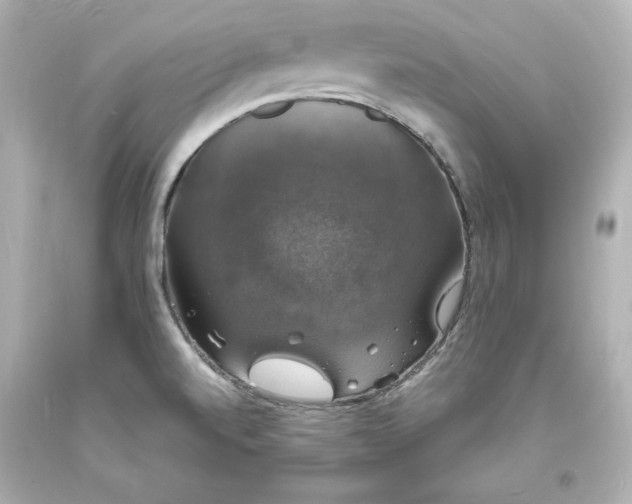 X0000094061520200711021433