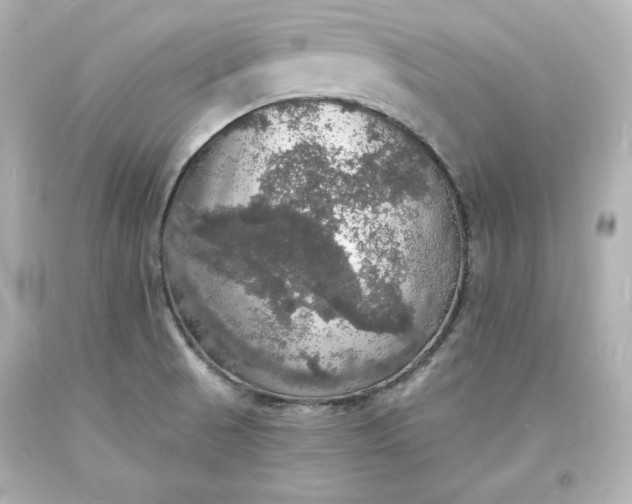 X0000094061521200711021433