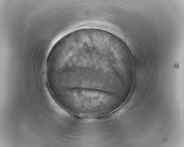 X0000094061522200711021433