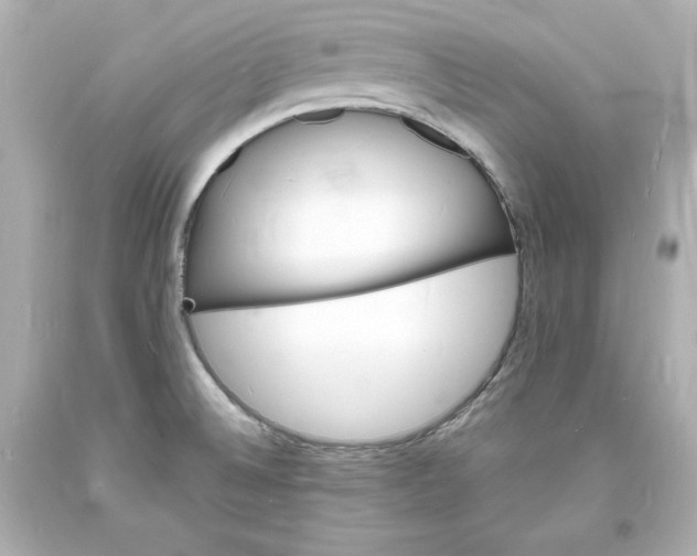 X0000094061524200711021433