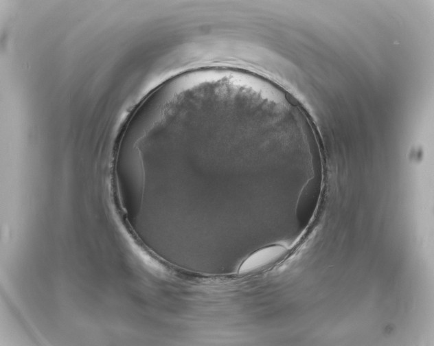 X0000094061525200711021433
