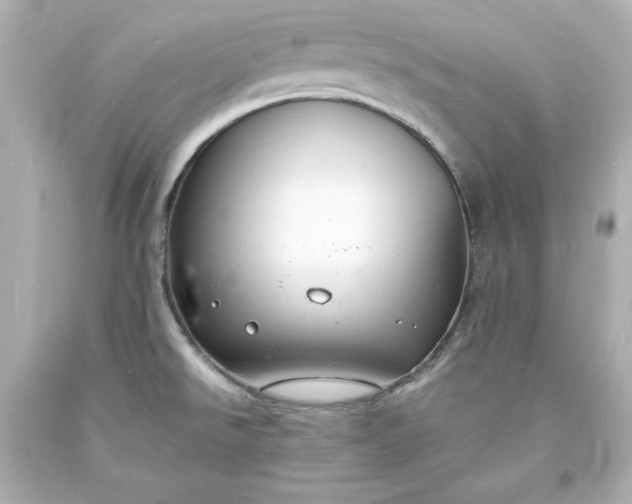 X0000094061526200711021433