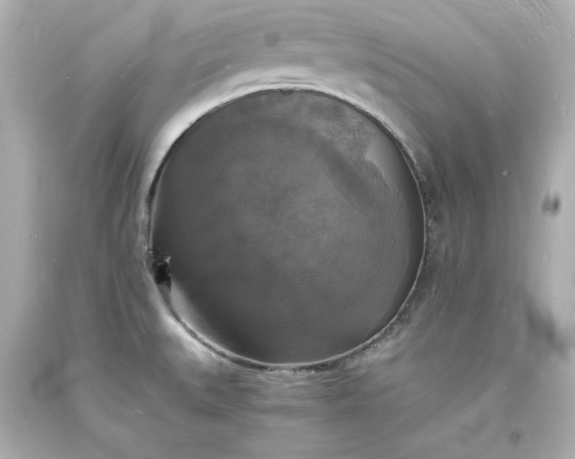 X0000094061527200711021433