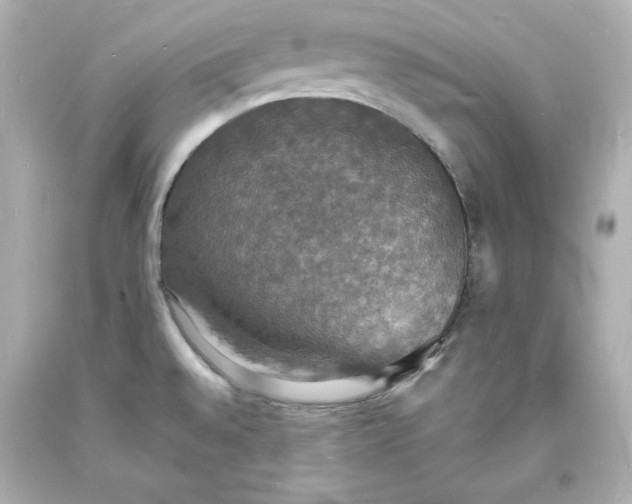 X0000094061528200711021433