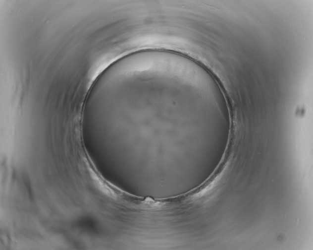 X0000094061529200711021433