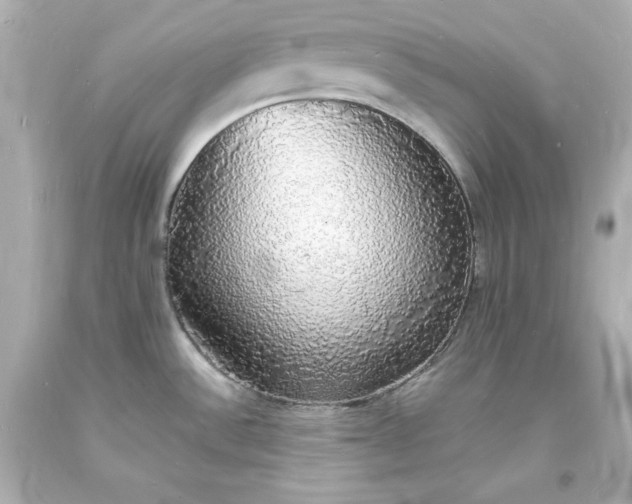 X0000094061532200711021433