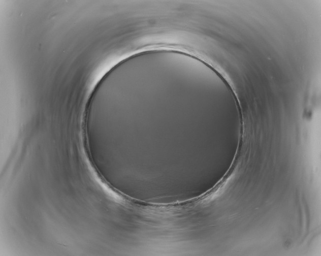 X0000094061533200711021433