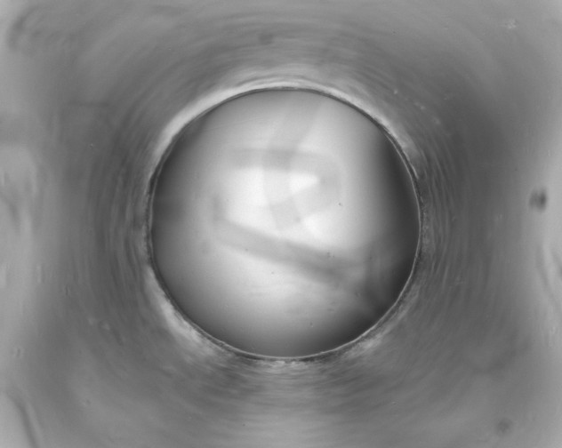 X0000094061534200711021433