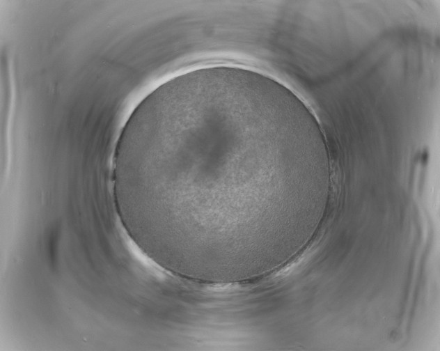 X0000094061535200711021433