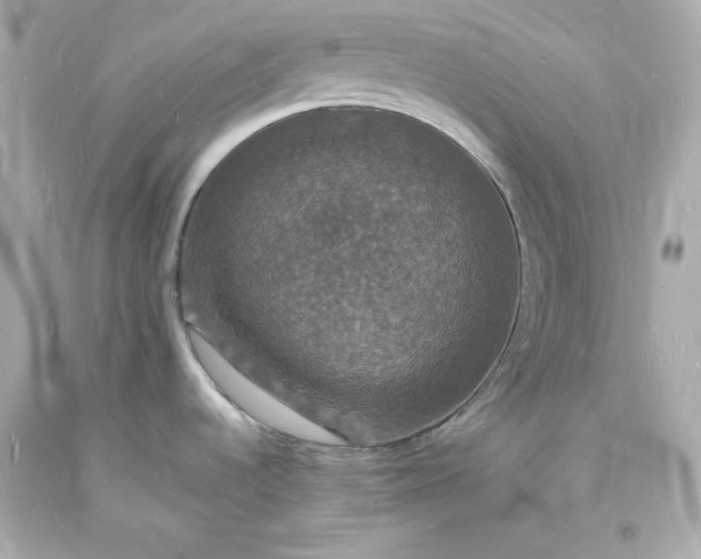 X0000094061536200711021433
