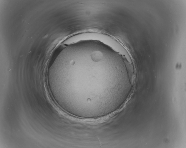 X0000094060001200711091139