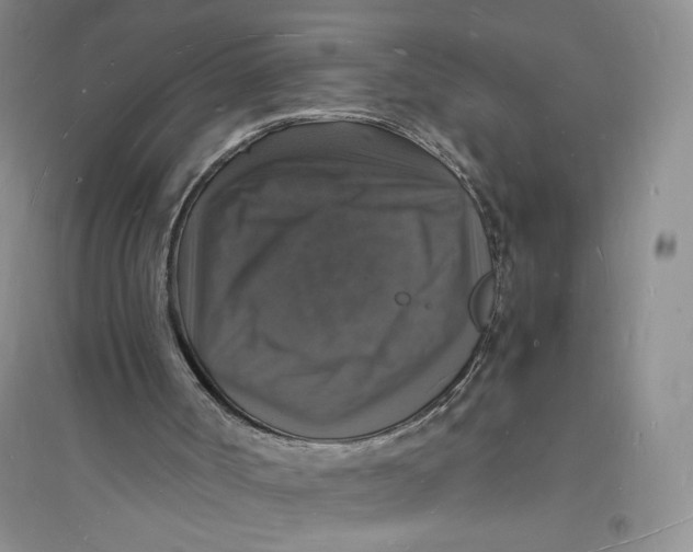 X0000094060002200711091139