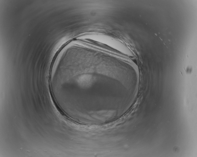 X0000094060003200711091139