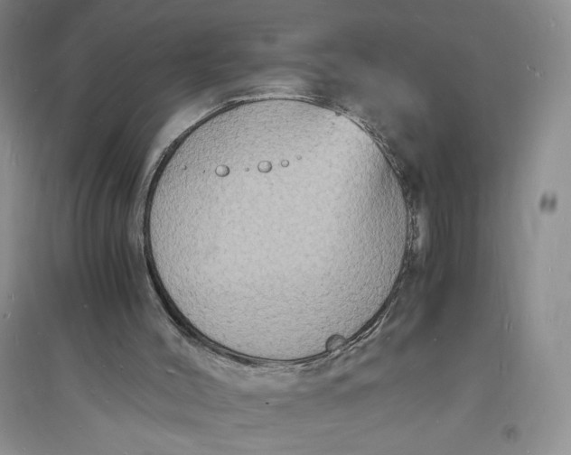 X0000094060004200711091139