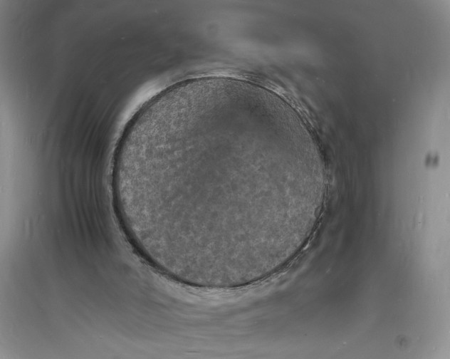 X0000094060006200711091139