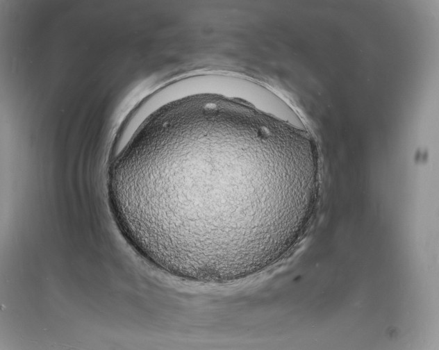 X0000094060007200711091139