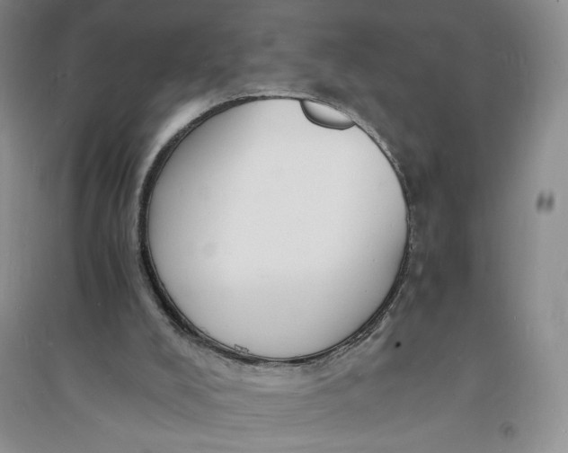 X0000094060008200711091139