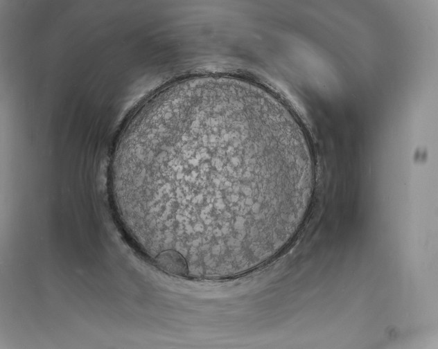 X0000094060010200711091139