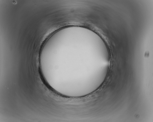 X0000094060011200711091139