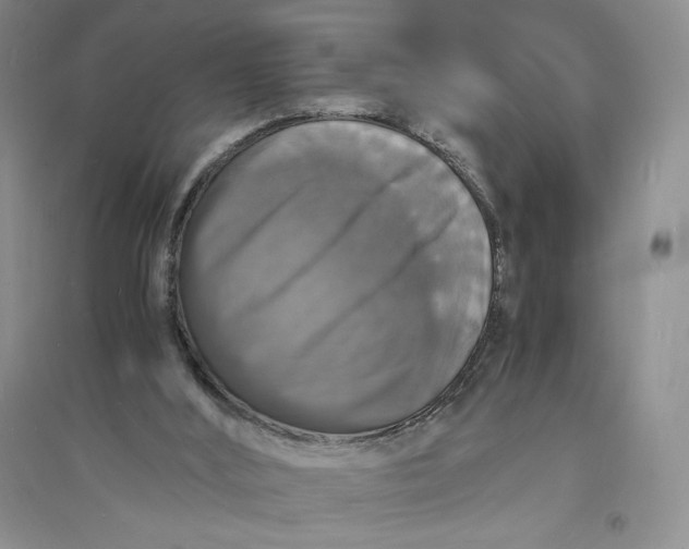 X0000094060012200711091139