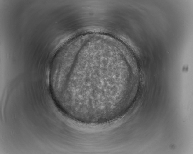 X0000094060014200711091139