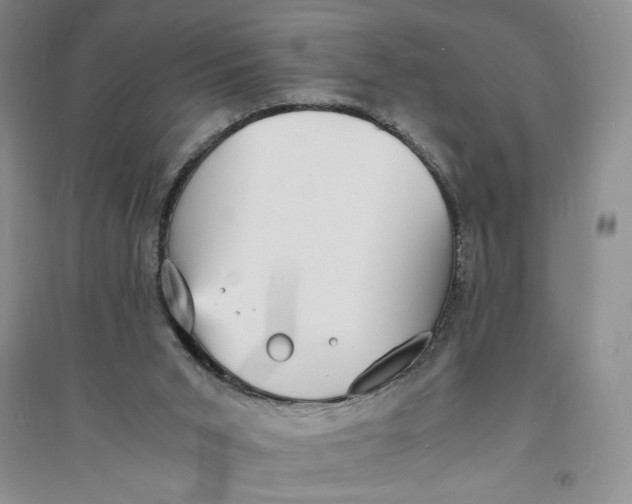 X0000094060015200711091139