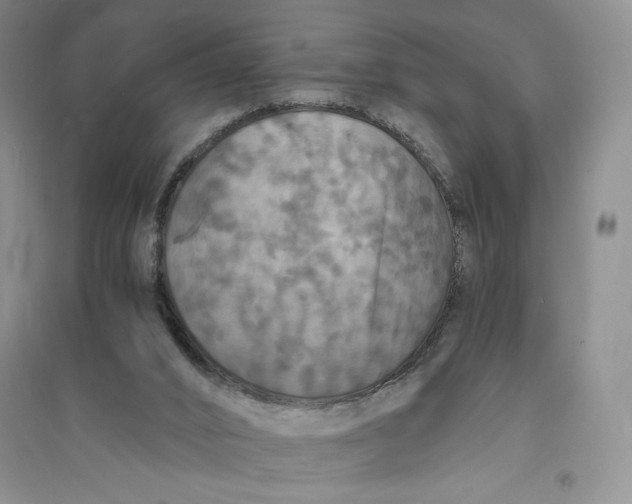 X0000094060016200711091139