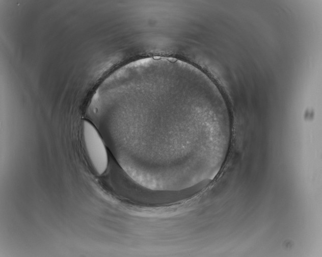 X0000094060017200711091139