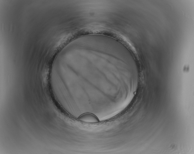 X0000094060018200711091139