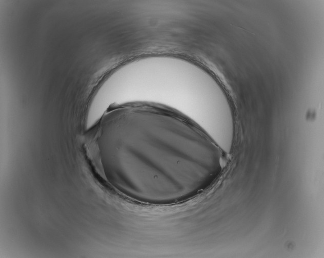 X0000094060019200711091139