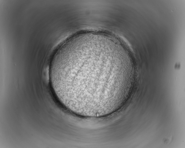 X0000094060020200711091139