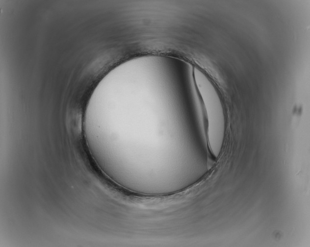 X0000094060021200711091139