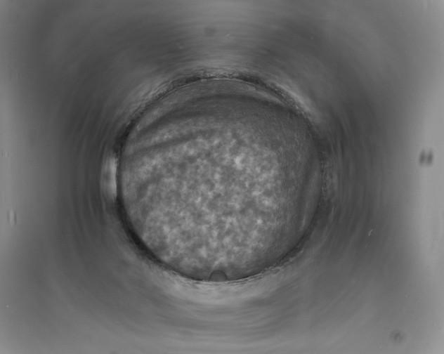 X0000094060022200711091139