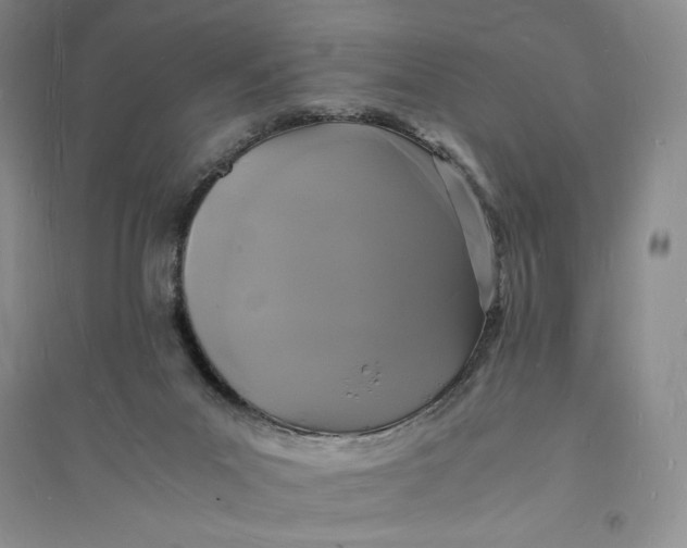 X0000094060023200711091139