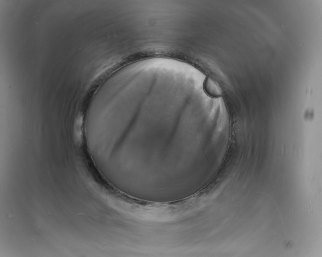 X0000094060024200711091139