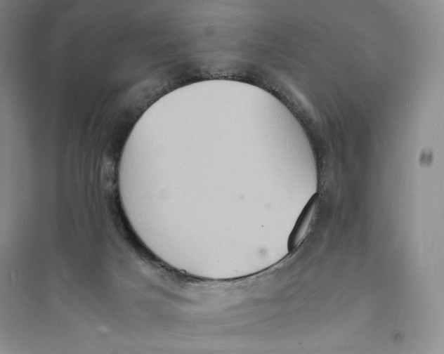 X0000094060025200711091139