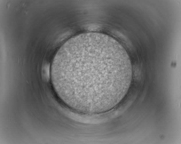 X0000094060028200711091139