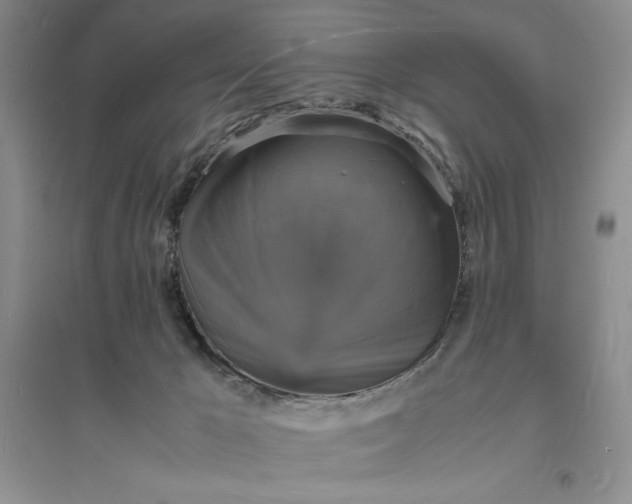 X0000094060029200711091139