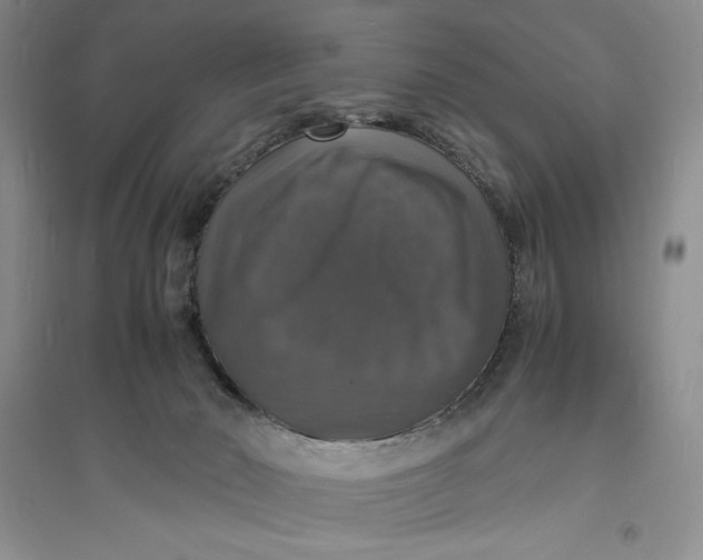 X0000094060030200711091138