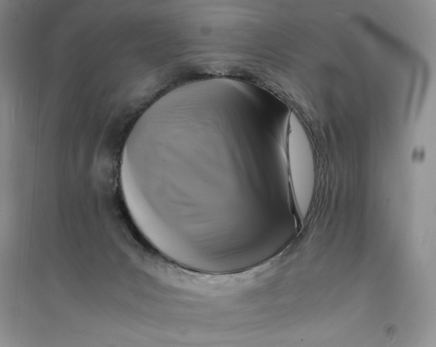 X0000094060031200711091138