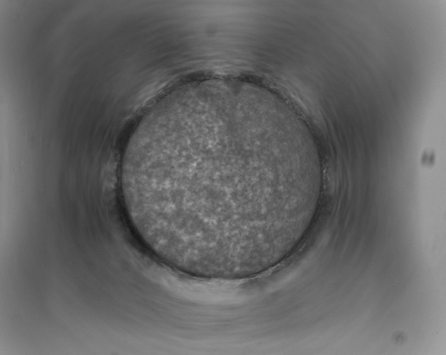 X0000094060032200711091138