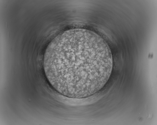 X0000094060034200711091138