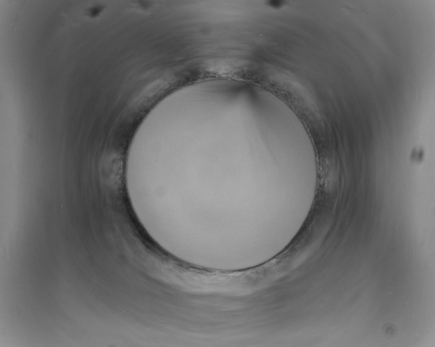 X0000094060036200711091138