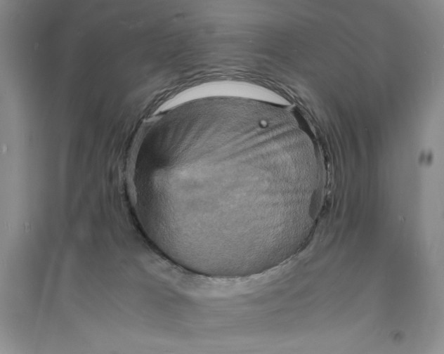 X0000094060037200711091138