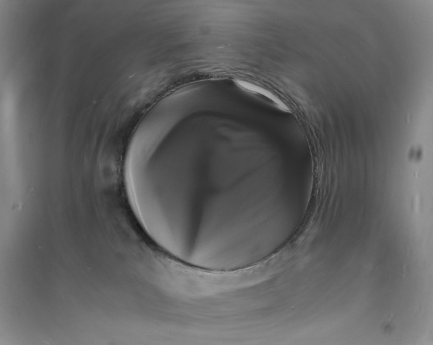 X0000094060039200711091138