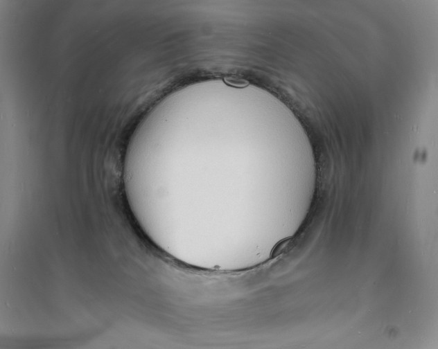 X0000094060040200711091138