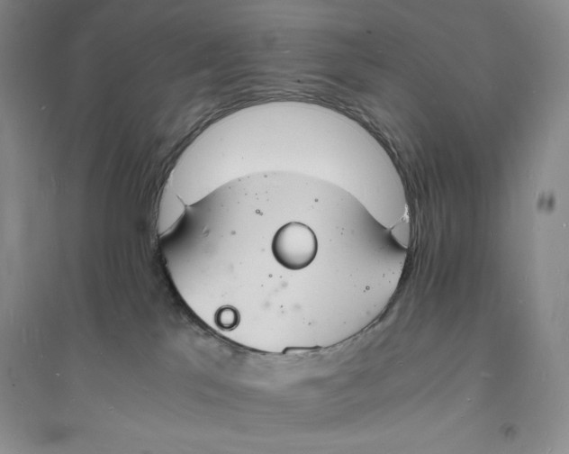 X0000094060041200711091138