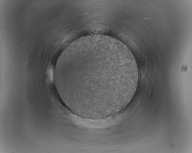 X0000094060042200711091138