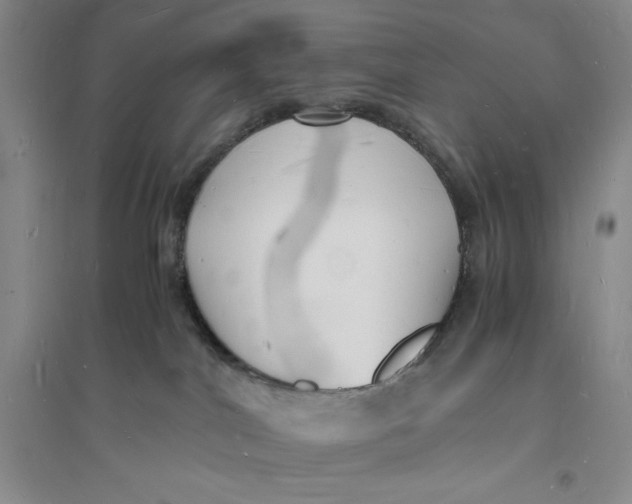 X0000094060044200711091138